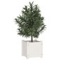 vidaXL Jardineras 2 uds madera maciza de pino blanco 31x31x31 cm vidaXL Jardineras 2 uds madera maciza de pino blanco 31x31x31 cm