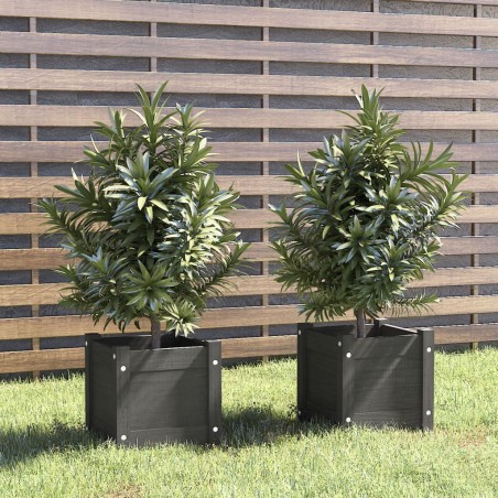 vidaXL Jardineras 2 uds madera maciza de pino gris 31x31x31 cm 