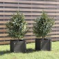 vidaXL Jardineras 2 uds madera maciza de pino gris 31x31x31 cm vidaXL Jardineras 2 uds madera maciza de pino gris 31x31x31 cm
