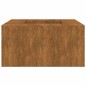 vidaXL Brasero de acero corten 60x60x30 cm vidaXL Brasero de acero corten 60x60x30 cm