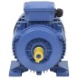 vidaXL Motor eléctrico trifásico aluminio 2,2kW/3HP 2 polos 2840 RPM vidaXL Motor eléctrico trifásico aluminio 2,2kW/3HP 2 polos 2840 RPM