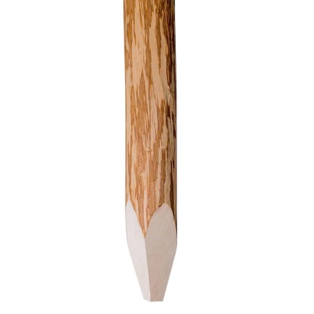 vidaXL Postes de valla puntiagudos 4 uds madera de avellano 90 cm