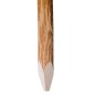 vidaXL Postes de valla puntiagudos 4 uds madera de avellano 90 cm vidaXL Postes de valla puntiagudos 4 uds madera de avellano 90 cm