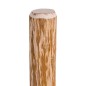 vidaXL Postes de valla puntiagudos 4 uds madera de avellano 90 cm vidaXL Postes de valla puntiagudos 4 uds madera de avellano 90 cm