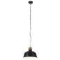 vidaXL Lámpara colgante industrial 32 cm negro E27 vidaXL Lámpara colgante industrial 32 cm negro E27