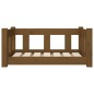 vidaXL Cama para perros madera maciza marrón miel 65,5x50,5x28 cm vidaXL Cama para perros madera maciza marrón miel 65,5x50,5x28 cm