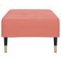 vidaXL Reposapiés de terciopelo rosa 78x56x32 cm vidaXL Reposapiés de terciopelo rosa 78x56x32 cm