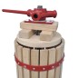 vidaXL Conjunto de prensa y trituradora de frutas y vinos 2 piezas vidaXL Conjunto de prensa y trituradora de frutas y vinos 2 piezas