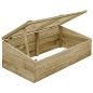 vidaXL Invernadero de madera de pino impregnada 2 uds 100x50x35 cm vidaXL Invernadero de madera de pino impregnada 2 uds 100x50x35 cm