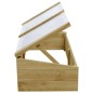 vidaXL Invernadero de madera de pino impregnada 2 uds 100x50x35 cm vidaXL Invernadero de madera de pino impregnada 2 uds 100x50x35 cm