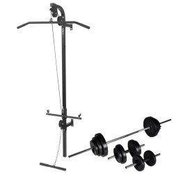 vidaXL Máquina de musculación de pared con pesas y mancuernas 30,5 kg 