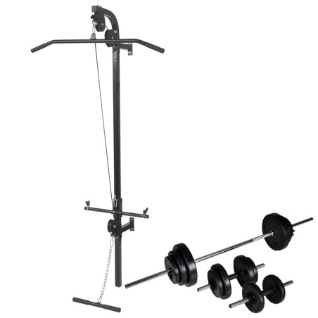 vidaXL Máquina de musculación de pared con pesas y mancuernas 30,5 kg 