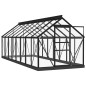 vidaXL Invernadero de vidrio gris antracita aluminio 155x395,5x191cm vidaXL Invernadero de vidrio gris antracita aluminio 155x395,5x191cm