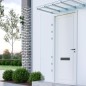 vidaXL Panel lateral puerta de carpa 2 piezas vidrio templado vidaXL Panel lateral puerta de carpa 2 piezas vidrio templado