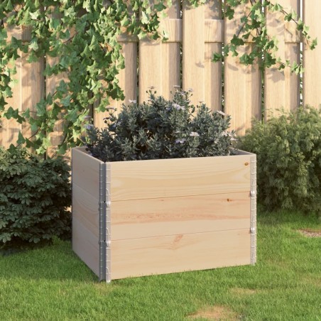 vidaXL Arriates de madera maciza de pino 3 unidades 60x80 cm