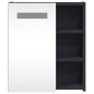 vidaXL Mueble de baño con espejo y luz LED gris 45x13x52 cm vidaXL Mueble de baño con espejo y luz LED gris 45x13x52 cm