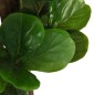 vidaXL Higuera de hojas de violín artificial 180 hojas verde 150 cm vidaXL Higuera de hojas de violín artificial 180 hojas verde 150 cm