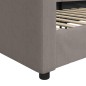 vidaXL Sofá cama tela gris taupe 100x200 cm