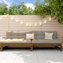 vidaXL Sofás centrales jardín 2 uds madera pino marrón miel 120x80 cm