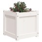 vidaXL Jardineras de exterior 2 unidades madera maciza de pino blanco vidaXL Jardineras de exterior 2 unidades madera maciza de pino blanco