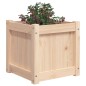 vidaXL Jardineras de exterior 2 unidades madera maciza de pino vidaXL Jardineras de exterior 2 unidades madera maciza de pino