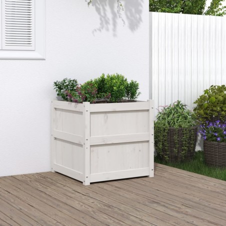 vidaXL Jardineras 2 uds madera maciza de pino blanco 60x60x60 cm