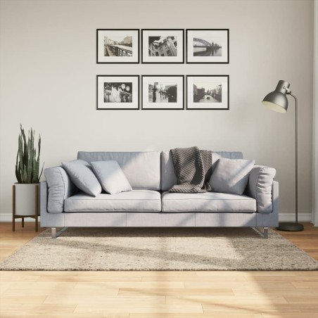 vidaXL Alfombra pelo largo aspecto brillante ISTAN beige 120x170 cm