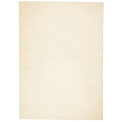 vidaXL Alfombra de pelo corto suave lavable HUARTE crema 240x340 cm