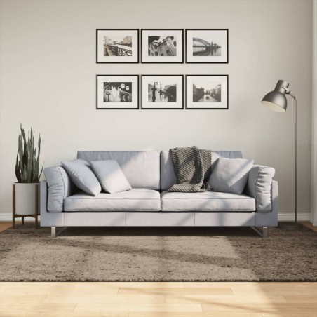 vidaXL Alfombra pelo largo aspecto brillante ISTAN gris 160x230 cm