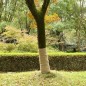 vidaXL Rollo de yute 1x5 m 100% yute 200 gsm vidaXL Rollo de yute 1x5 m 100% yute 200 gsm