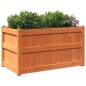 vidaXL Jardineras de exterior 2 uds madera maciza de pino marrón cera vidaXL Jardineras de exterior 2 uds madera maciza de pino marrón cera