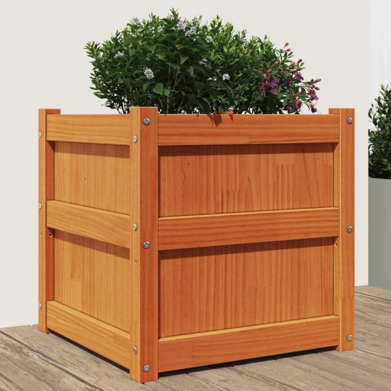 vidaXL Jardinera exterior madera maciza pino marrón cera 50x50x50 cm vidaXL Jardinera exterior madera maciza pino marrón cera 50x50x50 cm