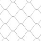 vidaXL Jaula de perros con puerta acero galvanizado gris 2x2x1,5 m