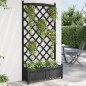 vidaXL Jardinera con enrejado madera maciza de abeto negro vidaXL Jardinera con enrejado madera maciza de abeto negro