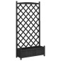 vidaXL Jardinera con enrejado madera maciza de abeto negro vidaXL Jardinera con enrejado madera maciza de abeto negro