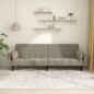 vidaXL Sofá cama de 2 plazas con dos almohadas terciopelo gris claro vidaXL Sofá cama de 2 plazas con dos almohadas terciopelo gris claro