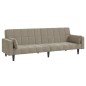 vidaXL Sofá cama de 2 plazas con dos almohadas terciopelo gris claro vidaXL Sofá cama de 2 plazas con dos almohadas terciopelo gris claro