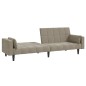 vidaXL Sofá cama de 2 plazas con dos almohadas terciopelo gris claro vidaXL Sofá cama de 2 plazas con dos almohadas terciopelo gris claro