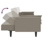 vidaXL Sofá cama de 2 plazas con dos almohadas terciopelo gris claro vidaXL Sofá cama de 2 plazas con dos almohadas terciopelo gris claro