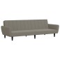 vidaXL Sofá cama de 2 plazas terciopelo gris claro vidaXL Sofá cama de 2 plazas terciopelo gris claro