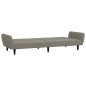 vidaXL Sofá cama de 2 plazas terciopelo gris claro vidaXL Sofá cama de 2 plazas terciopelo gris claro