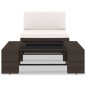 vidaXL Juego de muebles de jardín 2 piezas ratán sintético marrón vidaXL Juego de muebles de jardín 2 piezas ratán sintético marrón