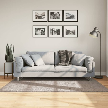 vidaXL Alfombra peluda de pelo largo moderna PAMPLONA beige 120x170 cm
