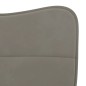 vidaXL Sillas de comedor 2 unidades terciopelo gris claro vidaXL Sillas de comedor 2 unidades terciopelo gris claro