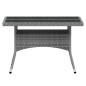 vidaXL Set comedor jardín 5 pzas ratán sintético vidrio templado gris