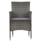 vidaXL Juego de comedor de jardín 11 piezas ratán sintético gris vidaXL Juego de comedor de jardín 11 piezas ratán sintético gris