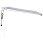 vidaXL Toldo retráctil aluminio y tela azul y blanco 3x2,5 m vidaXL Toldo retráctil aluminio y tela azul y blanco 3x2,5 m