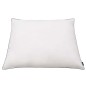 vidaXL Almohadas 2 uds relleno plumón/plumas 80x80 cm blanco vidaXL Almohadas 2 uds relleno plumón/plumas 80x80 cm blanco