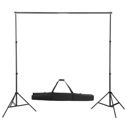 vidaXL Sistema de soporte de telón fondo 600x300 cm verde