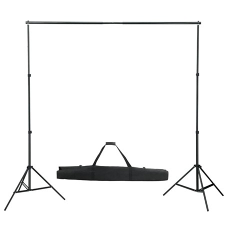 vidaXL Sistema de soporte de telón fondo 600x300 cm verde